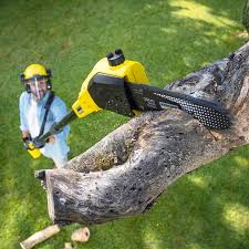 Lawn Pest Prevention in Berwick, PA